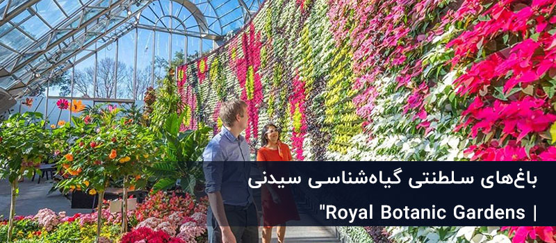 باغ گیاه شناسی سیدنی