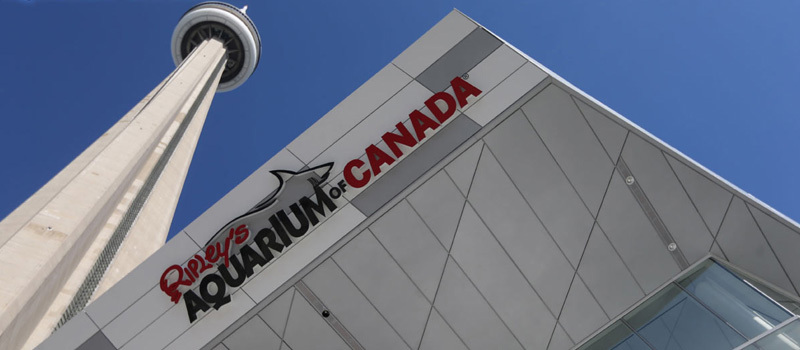 آکواریوم ریپلی کانادا (Ripley's Aquarium of Canada)