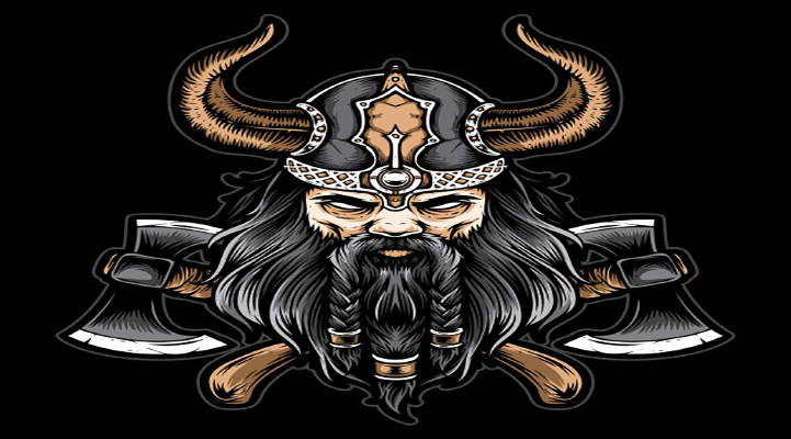 تاریخچه مختصری از وایکینگ‌ها