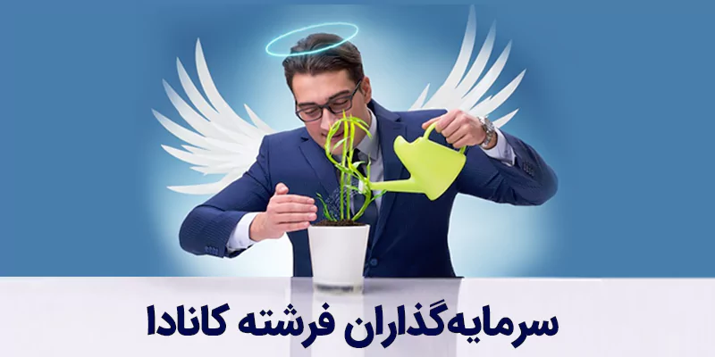 سرمایه گذاران فرشته ویزای استارتاپ کانادا