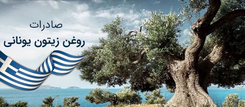 درختهای زیتون در کشور یونان