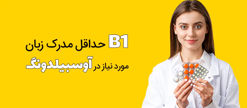 B1 حداقل مدرک زبان مورد نیاز در اخذ ویزای آوسبیلدونگ داروسازی