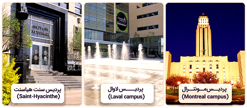 پردیسهای دانشگاه مونترال