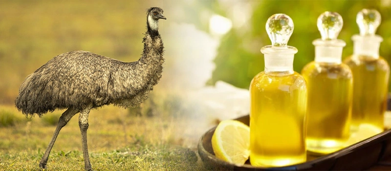 روغن شترمرغ، سوغات استرالیا