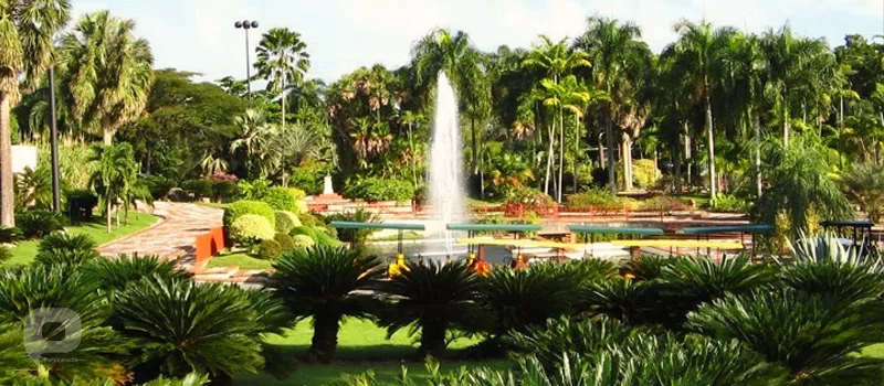 باغ گیاهشناسی دومینیکا (Dominica Botanical Gardens)