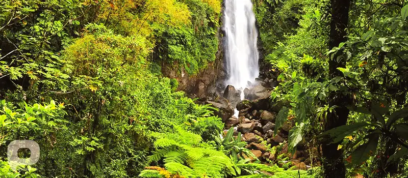 آبشارهای ترافالگار (Trafalgar)