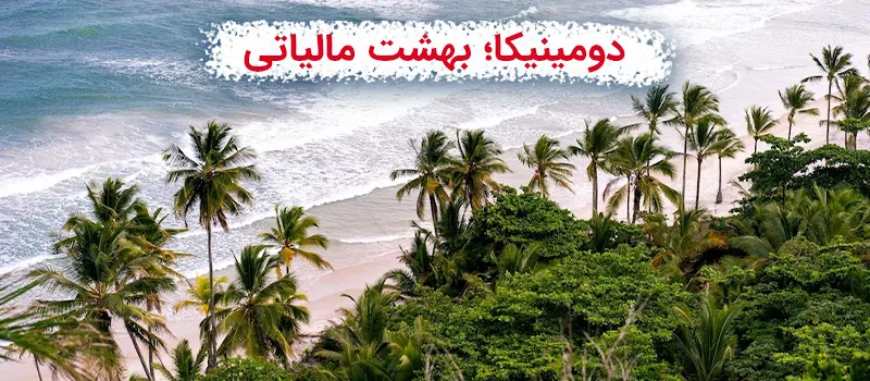 دومینیکا بهشت مالیاتی است.