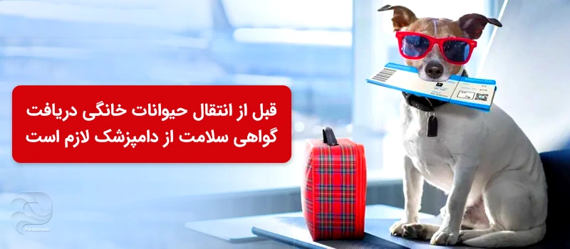 گواهی سلامت حیوانات