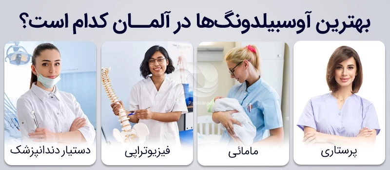 تصویری از بهترین آوسبیلدونگ های آلمان در یک قالب