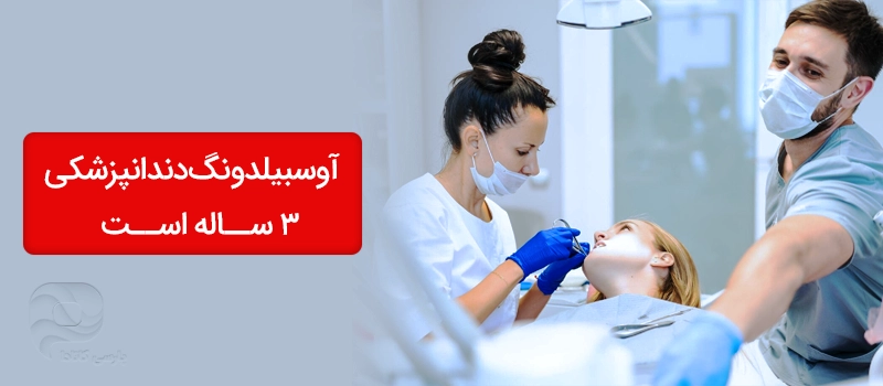 آوسبیلدونگ دندانپزشکی سه ساله است. عکس دندانپزشک و دستیار دندان پزشک در حال کار
