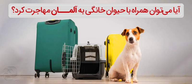 مهاجرت همراه با حیوانات خانگی به آلمان