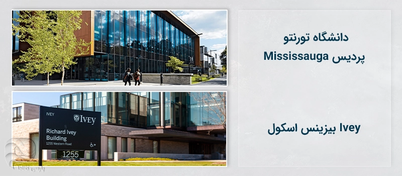 تفاوتهای بیزینس اسکول با دانشگاه