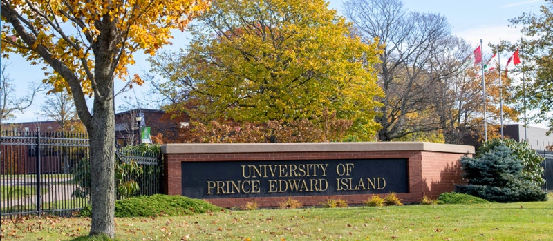 دانشگاه پرنس ادوارد آیلند؛ راحتترین دانشگاه کانادا برای پذیرش