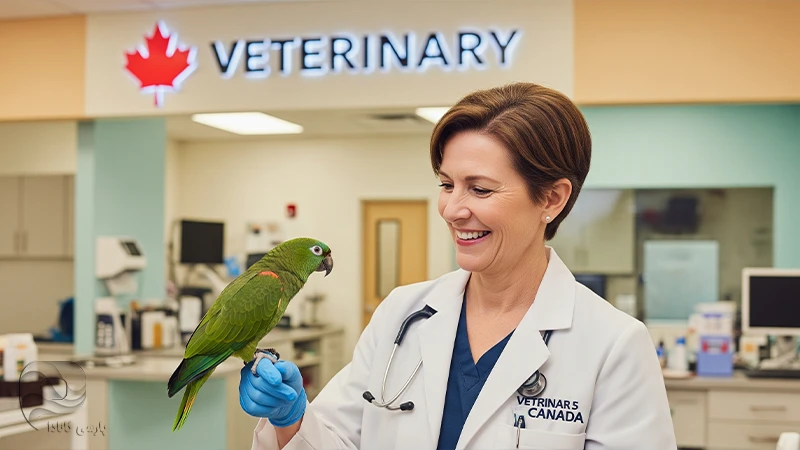 شغل دامپزشکی در کانادا
