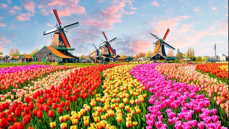 فلوریاد (Floriade)