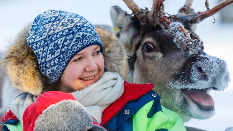 تصویری از یک شهروند فنلاندی در کنار گوزن